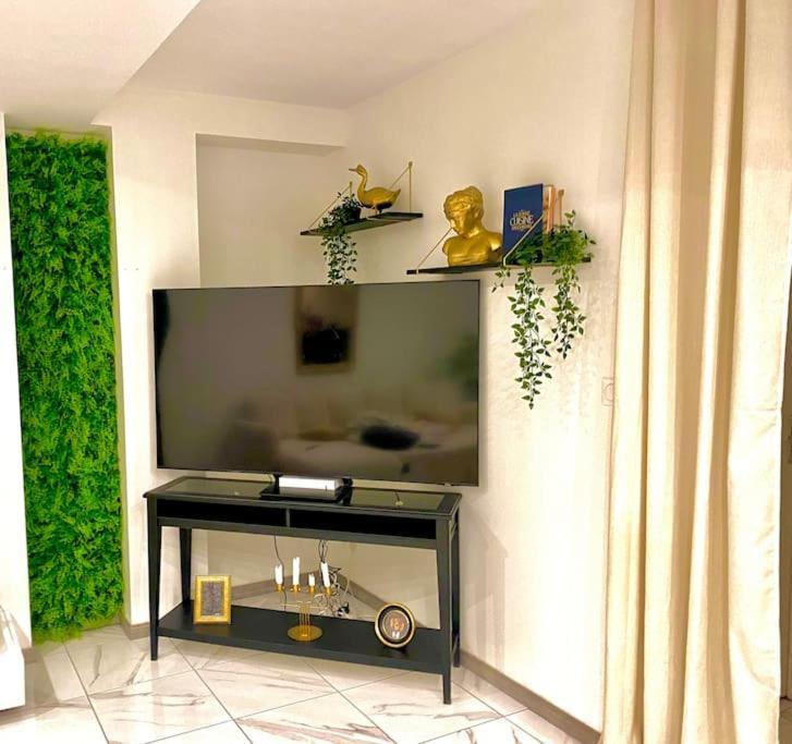 Toulouse Vaste Appartement Tres Lumineux Bagian luar foto